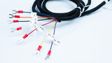 True Confirmation Cable TCONF-CBL-Tomar traffic